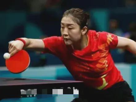 的领导下以 的领导下以